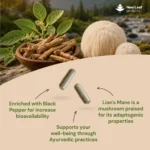 Ashwagandha & Lions Mane | 120 Capsules - Image 6