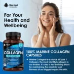 Marine Collagen | 60 Capsules - Image 4