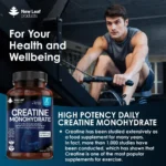 Creatine Monohydrate | 180 Tablets - Image 5