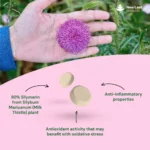 Milk Thistle | 120 Tablets - Image 8