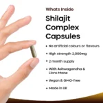 Shilajit 3in1 Complex | 120 Capsules - Image 3