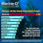 Marine-D3 Omega-3 DHA | 60 Capsules - Image 3