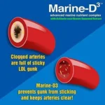 Marine-D3 Omega-3 DHA | 60 Capsules - Image 6