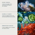 Pro-Collagen Marine Cream SPF 30 - Image 3